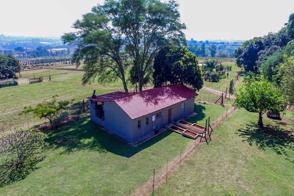 45 ha Smallholding