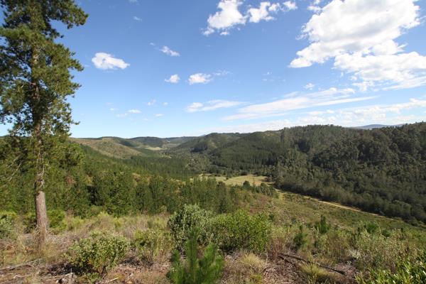 651 ha Farm