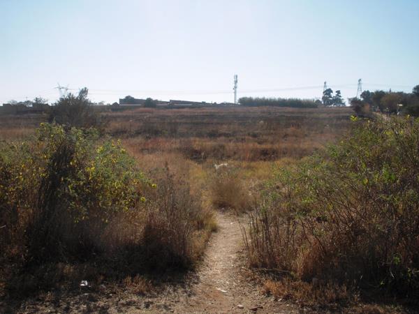1 ha Land