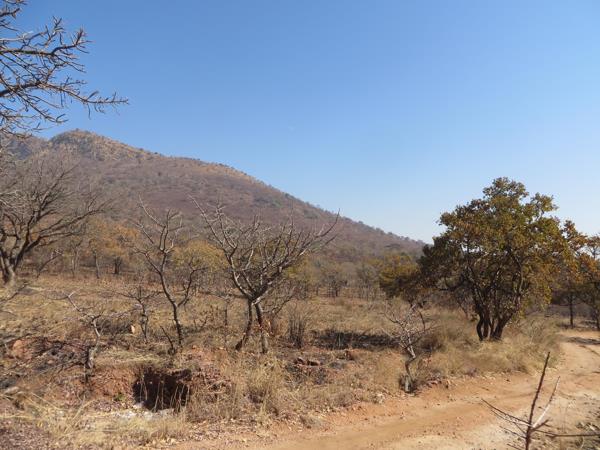 13 ha Farm