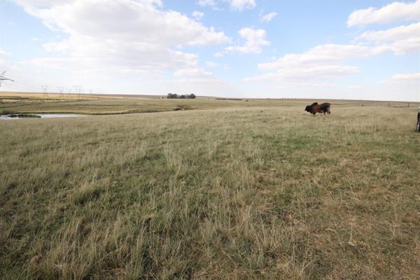 600 ha Farm