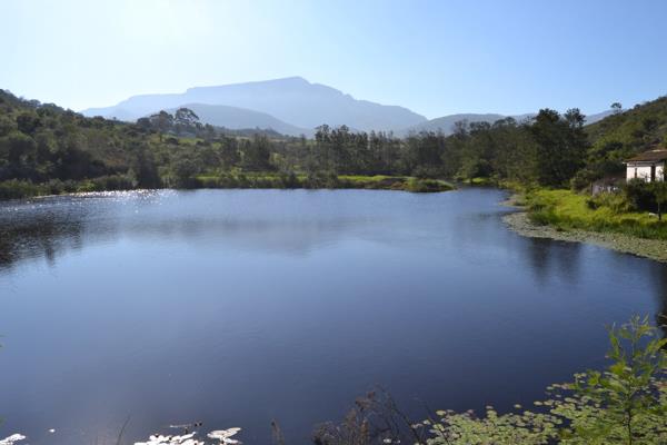 203 ha Farm