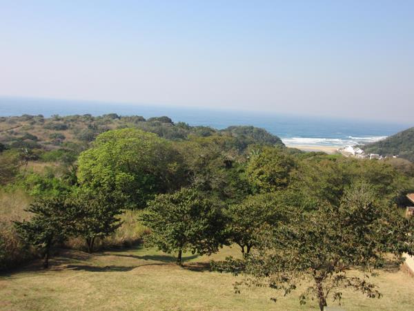 1 291 m² Land