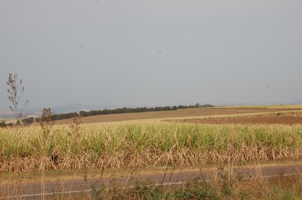 75 ha Land