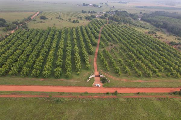 24 ha Farm