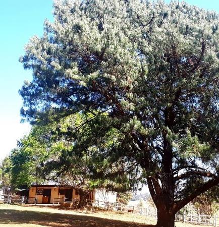 7 590 m² Land