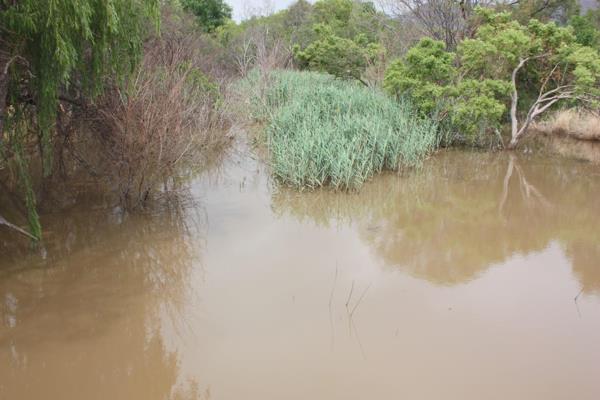 31 ha Land