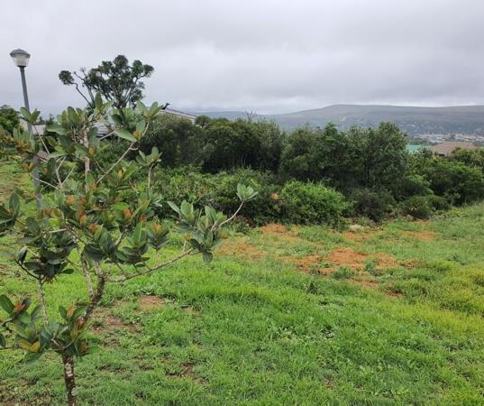 993 m² Land