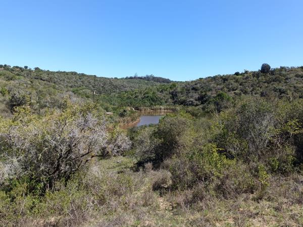 11 ha Land