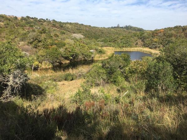 11 ha Land