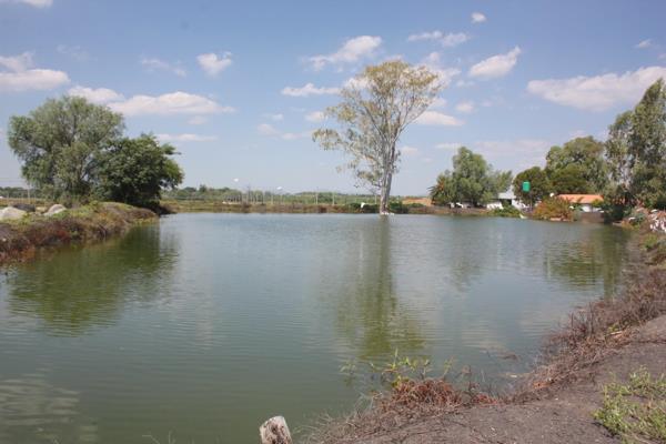 25.8 ha Farm