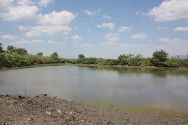 50 ha Farm