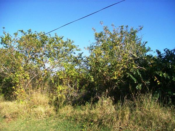 2 168 m² Land
