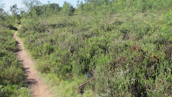 3.5 ha Land