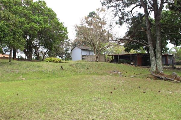 4.6 ha Smallholding
