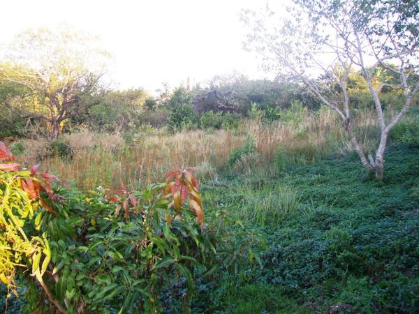 1 058 m² Land
