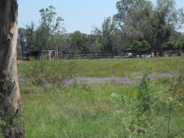 13 ha Farm