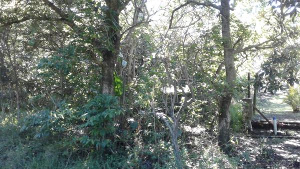 2 276 m² Land