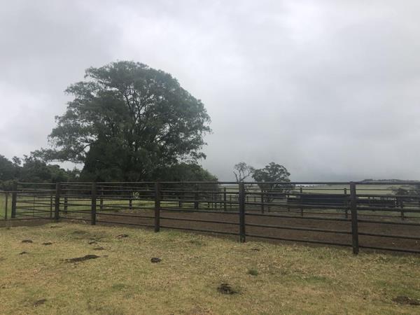 1 000 ha Farm