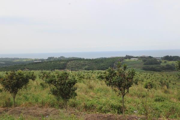 188 ha Farm