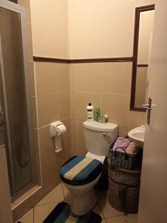 Bachelor apartment