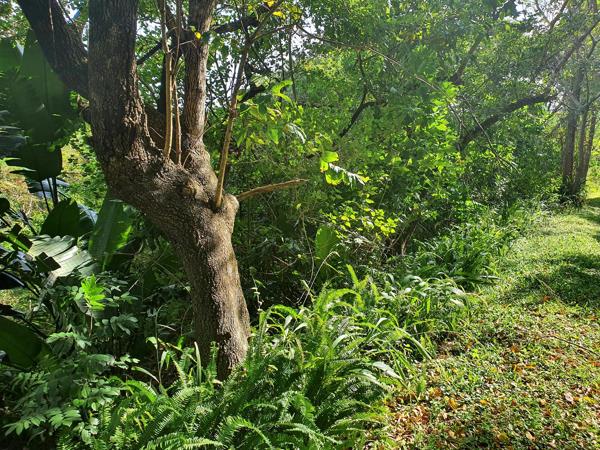 1 391 m² Land