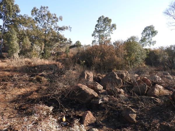 1 249 m² Land