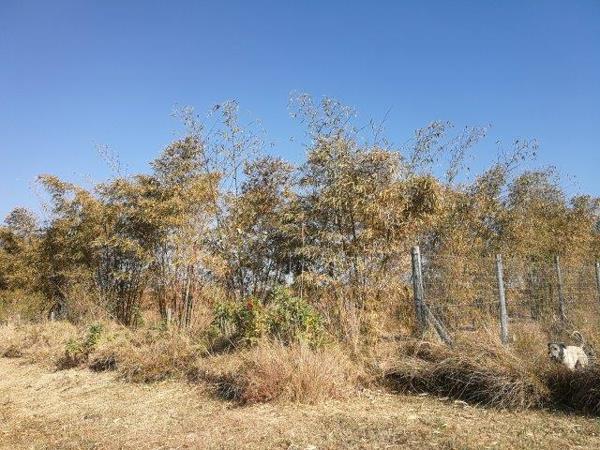 2 368 m² Land