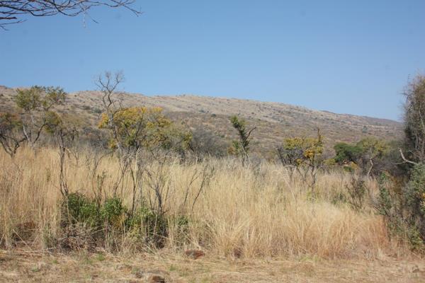 31.2 ha Land