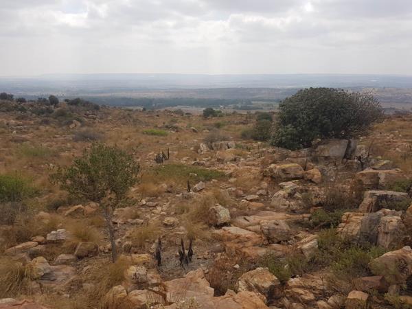9 ha Land