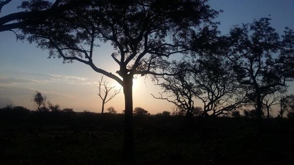 7 670 m² Land