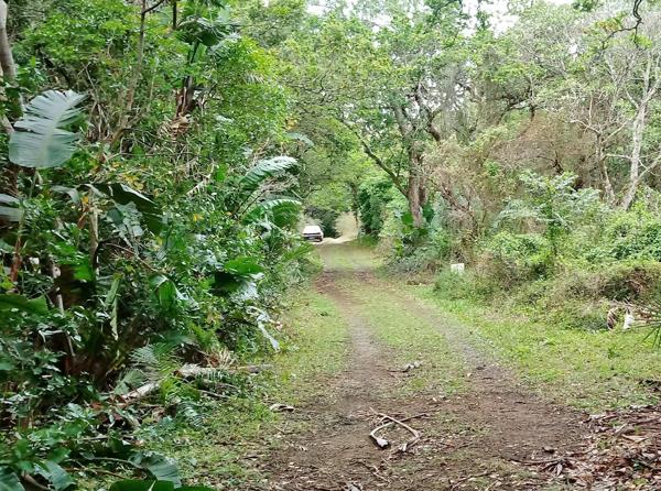 1 013 m² Land