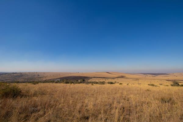 9.2 ha Land