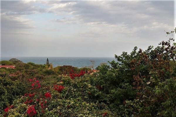 2 915 m² Land