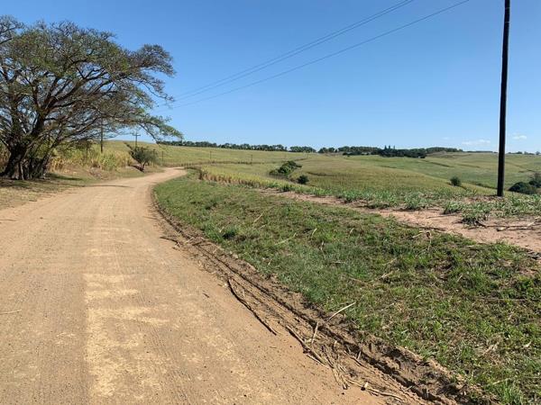 97 m² Farm