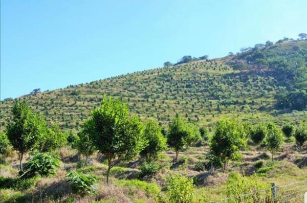 90.2 ha Farm