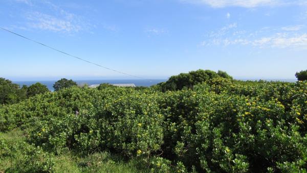 1 179 m² Land