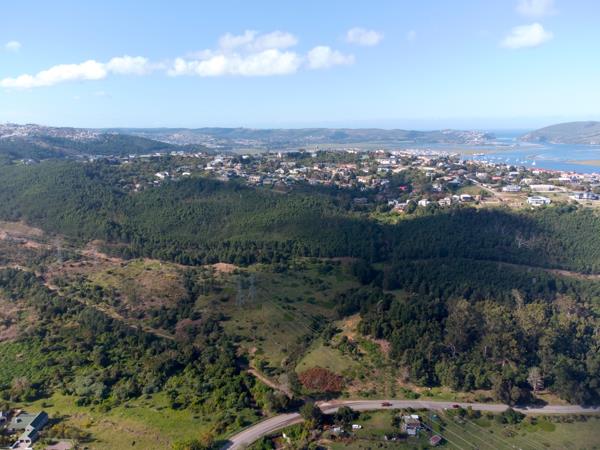38.6 ha Land