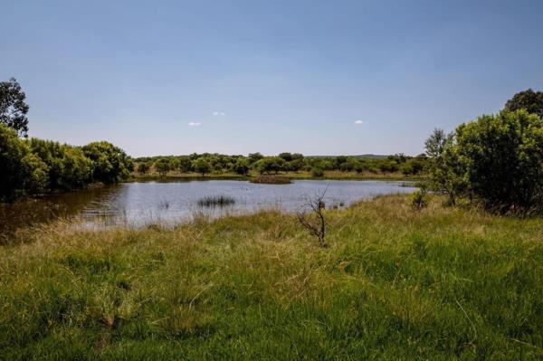 80 ha Farm