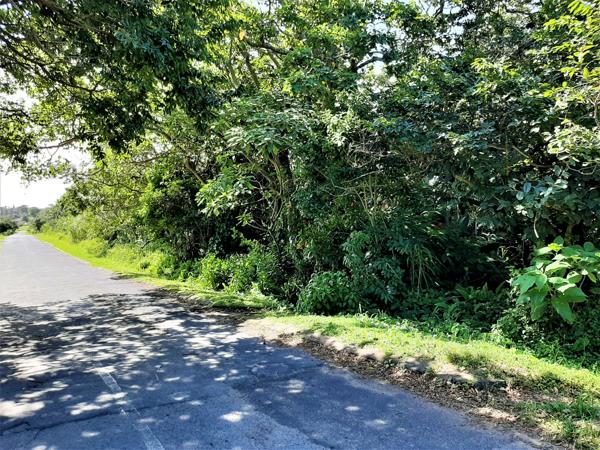 1 969 m² Land