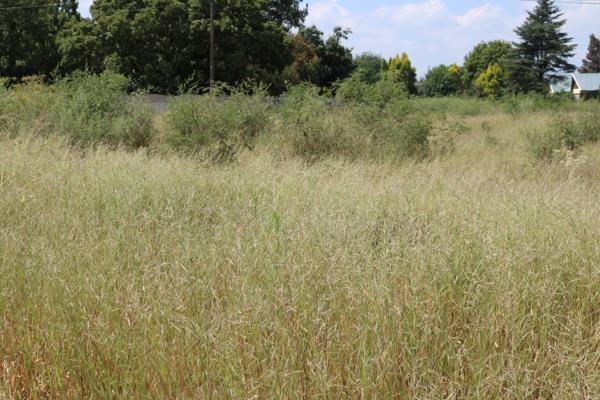 1.5 ha Land
