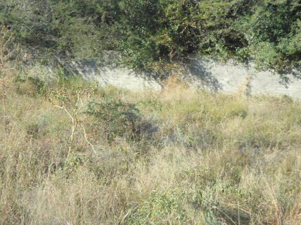 1 180 m² Land