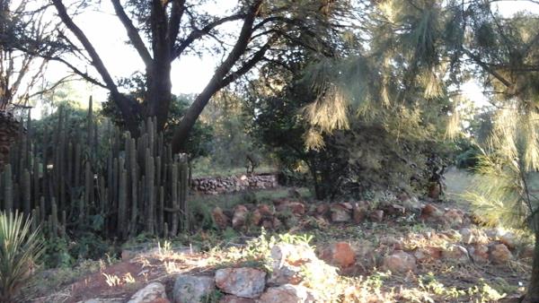4 000 m² Land