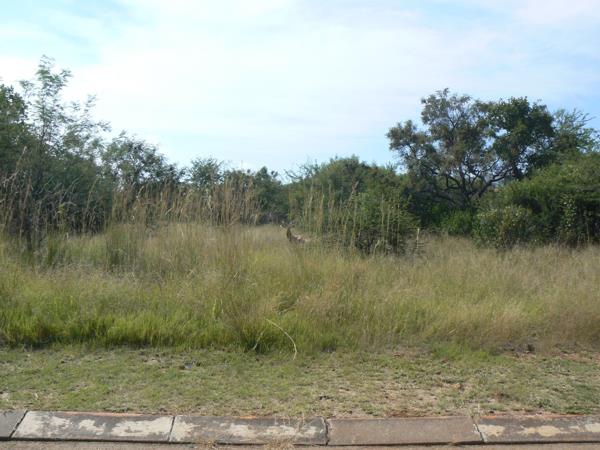 1 006 m² Land