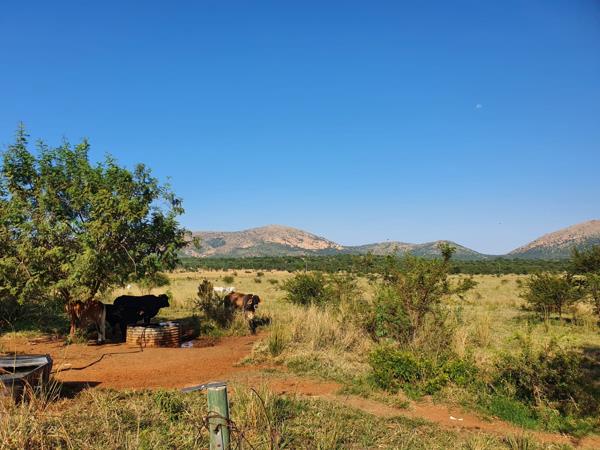 32.6 ha Agricultural Holding