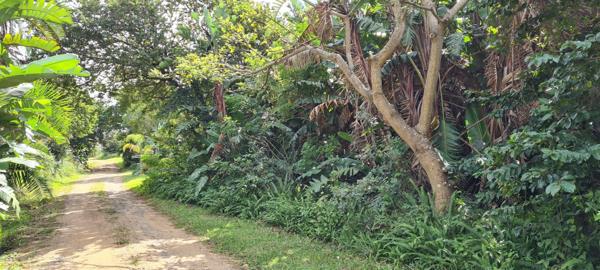1 023 m² Land