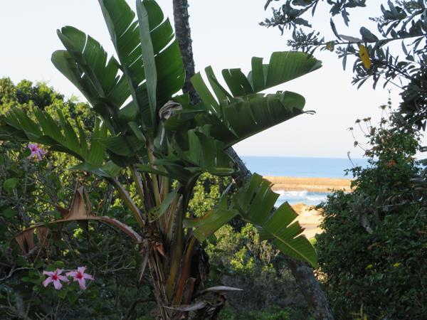665 m² Land