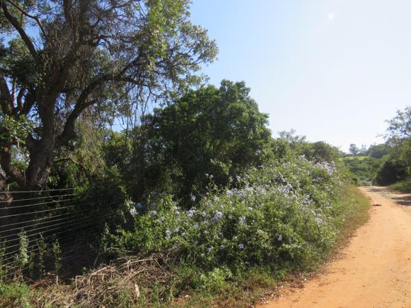 8 565 m² Land