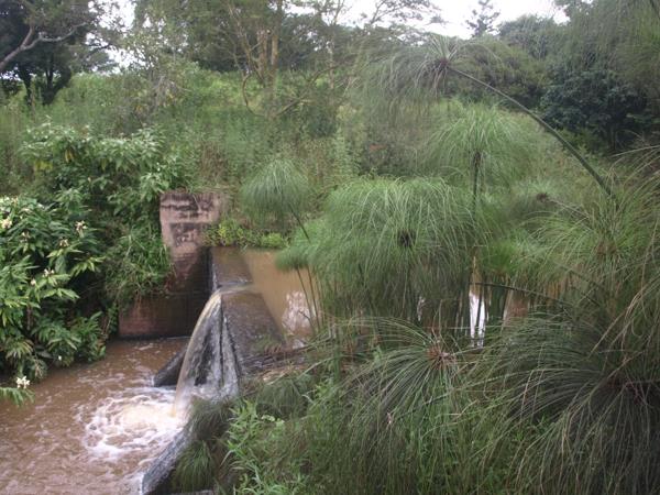 3.5 ha Smallholding
