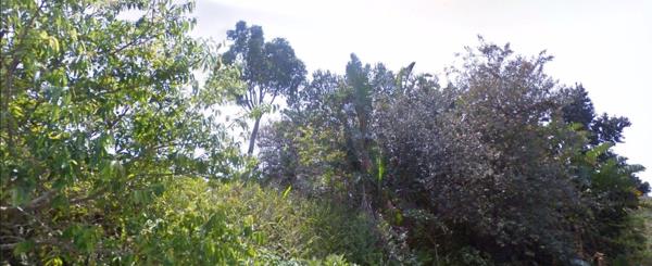 1 015 m² Land